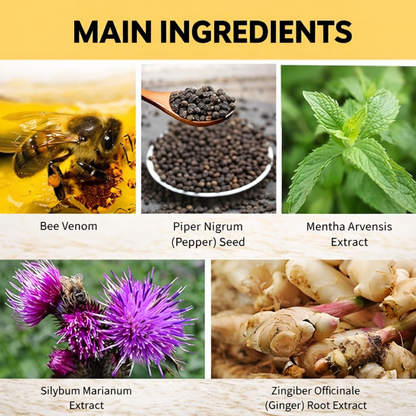 Bee Venom Lymphatic Daiamage & Sliming Patches ( Pack of 2)